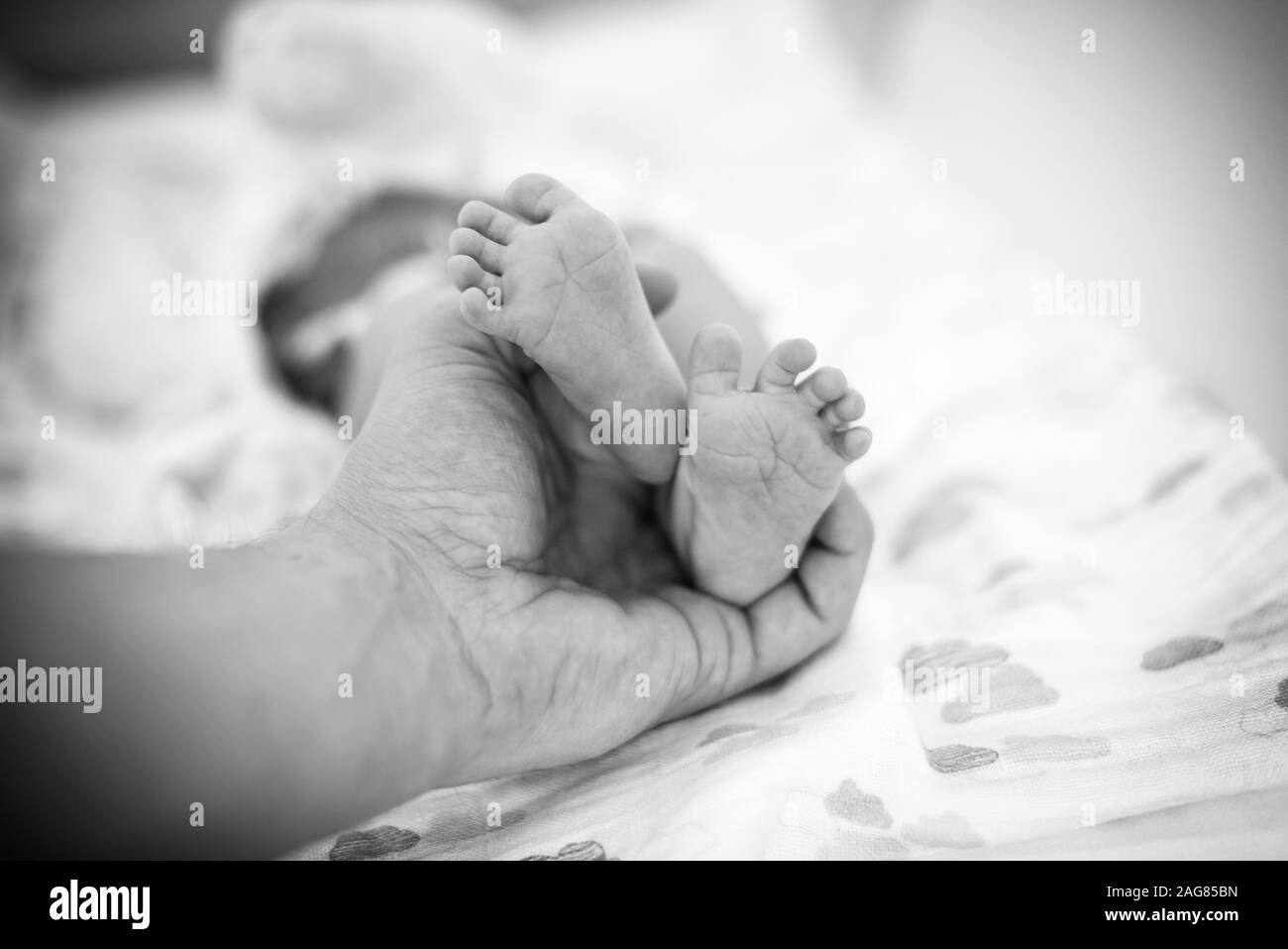 Baby Füße in Vaters Hand. Vater und seinem Kind Stockfoto