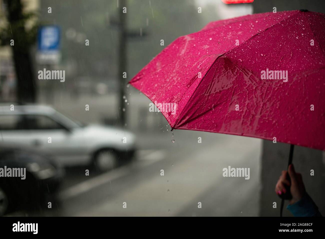 Nahaufnahme einer Person, die einen rosa Regenschirm unter dem strömenden Regen hält, der in Posen, Polen, gefangen genommen wurde Stockfoto