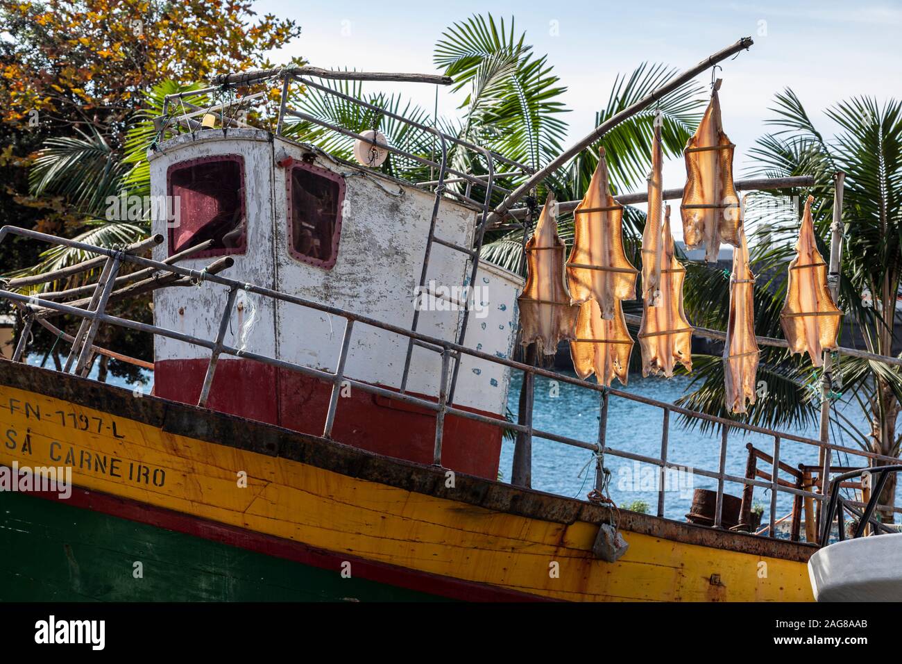 Trocknen Stockfisch auf Câmara de Lobos, Funchal, Madeira Stockfoto