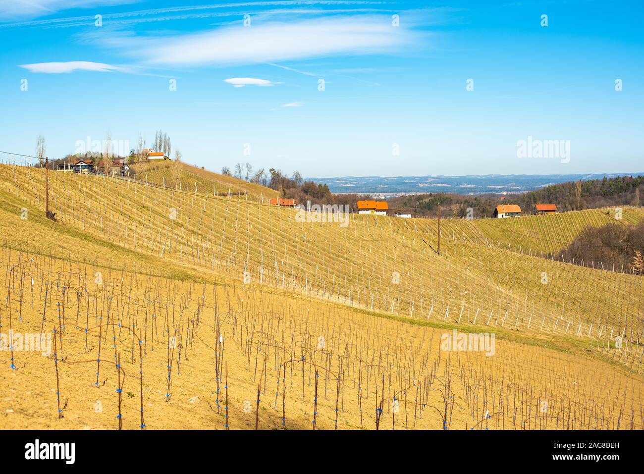 Panorama der Weinberge. Leibnitz Gebiet südlich Steiermark Ort Stockfoto