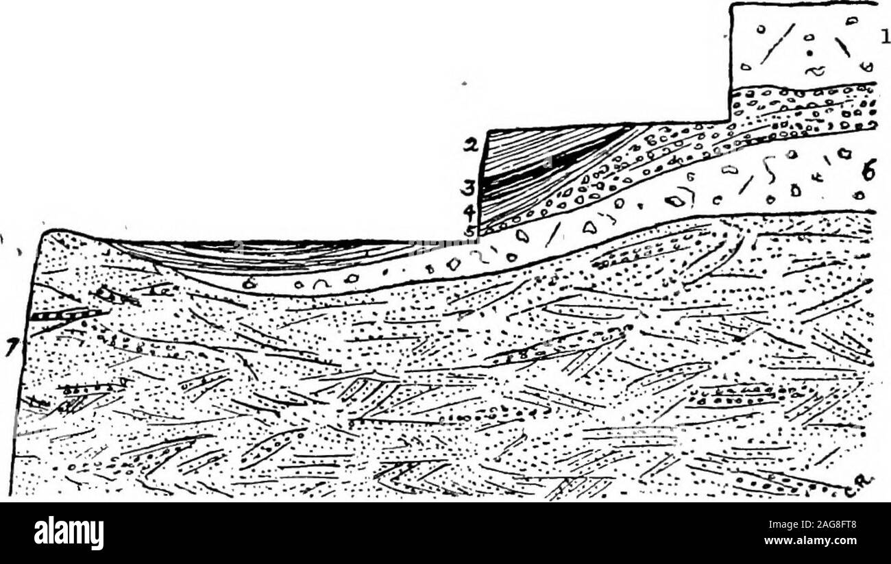 . Die Geologie von Holderness, und die angrenzenden Teile von Yorkshire und Lincolnshire. rred zu dieser Zeit der Sub-Verschmelzung. Dies ist ein Torfigen Süßwasser-Bett, in was atfirst scheint eine sehr unwahrscheinlich, - die Oberen eines isolierten Sand - hillrising Kühn 40 Füße aus dem Sumpf. Der Querschnitt Verwaltungsseite in Abb. 8 von Flächen in der neuen Grube atKelsey Hill im Mai 1884 ausgesetzt. Bei meinem ersten Besuch thepeaty Ton hatte zurück geschnitten worden nur über den tiefsten Teil der Diehohlschraube; auf den zweiten Besuch die Gesichter in der Position festgestellt. Ein paar Tage später, und der Beweis würde pro Stockfoto