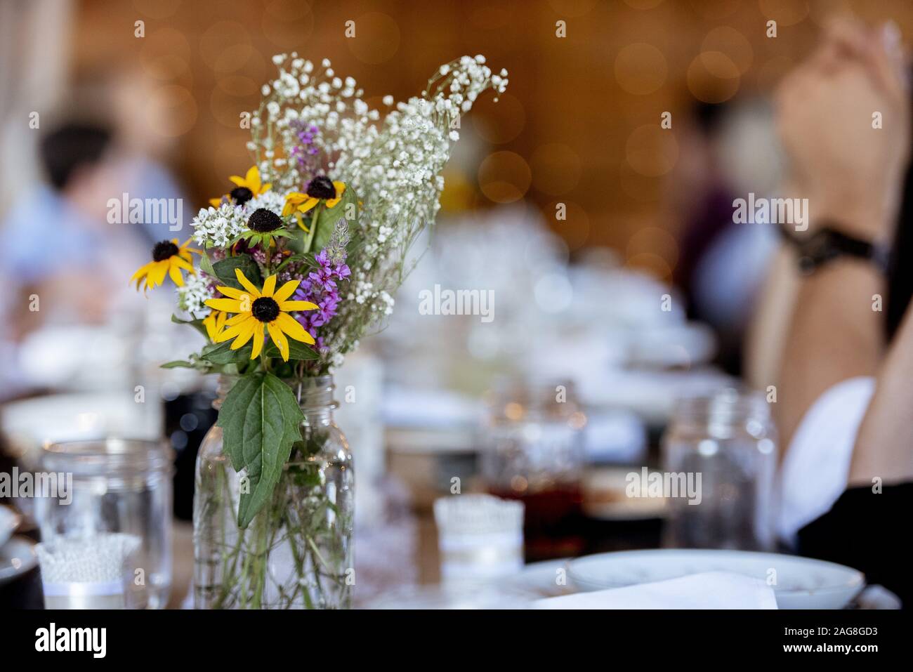 Nahaufnahme von Blumen in einem Glas mit einem Unscharfer Hintergrund Stockfoto