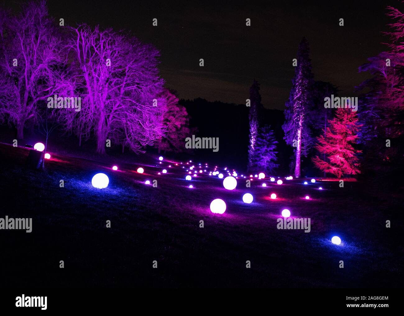 Waddesdon Manor Weihnachten Light Trail. Stockfoto