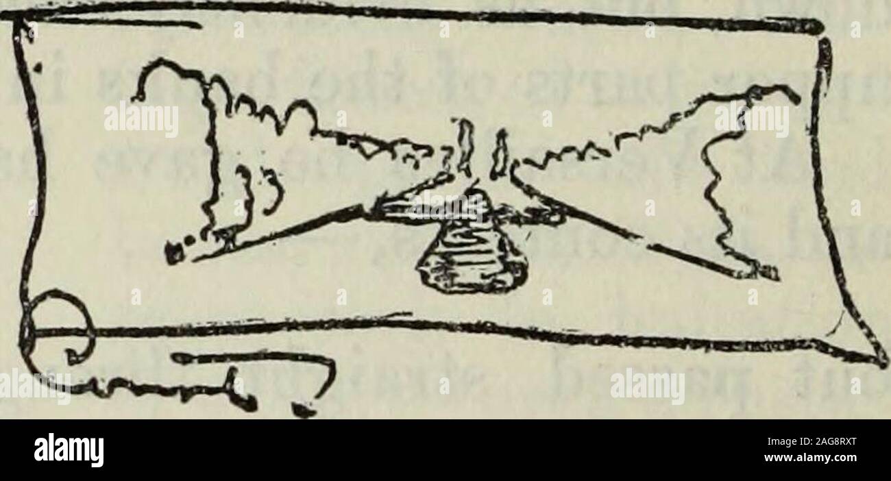. Charles Eliot, Landschaftsarchitekt: ein Liebhaber der Natur und seiner Art, der sich für einen neuen Beruf ausgebildet, praktiziert es glücklich und durch sie tat viel Gutes/Charles William Eliot. ne - Feiner weit des Stützelements ähnliche Sache an HamptonCourt. Ich nahm während der verschiedenen handsomeforms theafternoon, Wege und Gassen, einige, wo Bäume clippedpart sind weg nach oben und dann frei wachsen, einige, in denen die wholetree eingerastet ist und ausgebildet, und einige, wo die Bäume sind asfree wie auf Boston Common, der verschiedene Designs für parterresand Boxedging arbeiten, und der Muster Gartenarbeit in den drei Ele- mente-gr Stockfoto