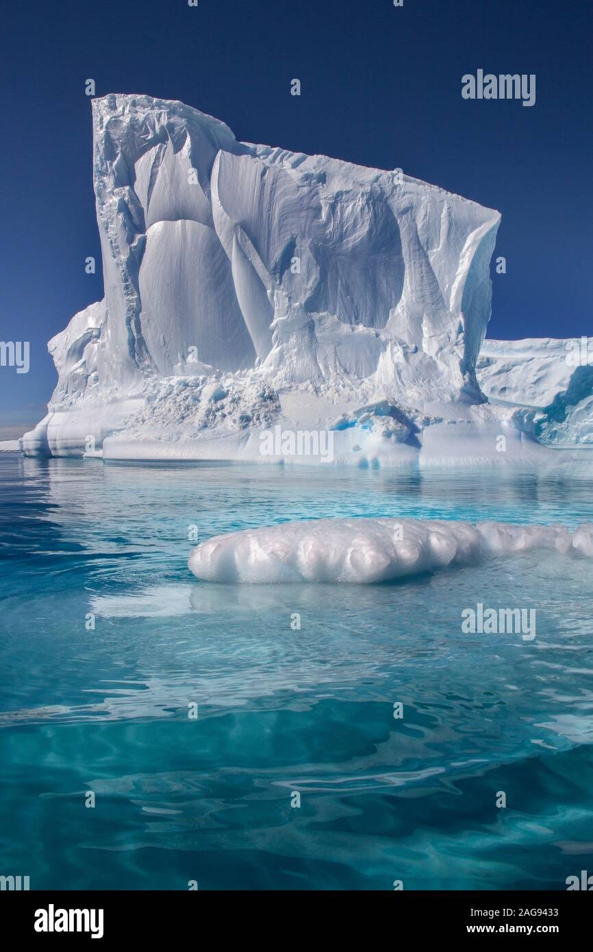 Ein Eisberg floating in Paradise Bay auf der Antarktischen Halbinsel in der Antarktis. Stockfoto