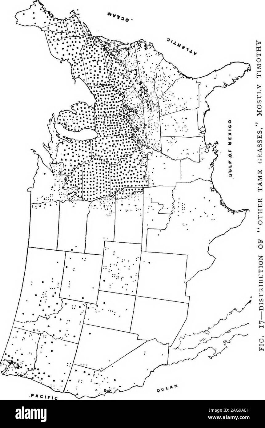 . Bauernhof Gräser der Vereinigten Staaten; eine praktische Abhandlung über das Gras Ernte, Aussaat und Bewirtschaftung von Wiesen und Weiden, Beschreibungen der besten Sorten, Samen und seine Verunreinigungen, Gräser für besondere Bedingungen, usw., usw., ist Prob - gekonnt durch die cotton-Anlage als otherone verursachen. Sollte die Baumwolle boll Rüsselkäfer rendercotton unrentabel im Süden, gibt es abundantreason, dass viele gute Gräser zu glauben kann begrown Lager zu machen - die rentable südlich von thetimothy Region. Es ist eine sehr interessante toearlier fadt, bezogen auf diesen Seiten, dass fast alle gr Stockfoto