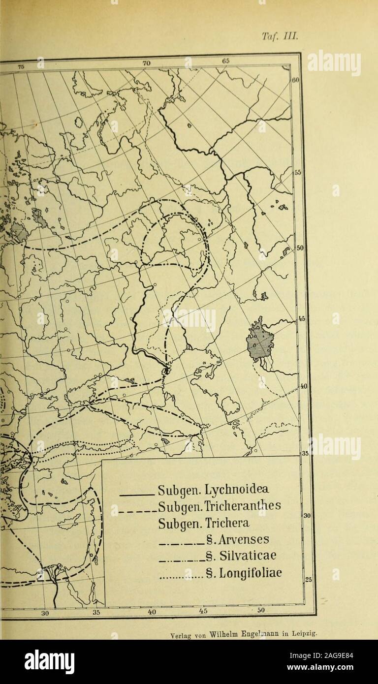 . Botanische Jahrbücher für Systematik, Pflanzengeschichte und Pflanzengeographie. Monographische^ der Gattung Knautia. Von Zoltân V. Szabö. Mit 5 Abb. im Text und mit Karte (Tafel III). Arbeit aus dem Botanischen Garten der Universität Breslau. Sterben im Jahre 1737 von Linné aufgestellte Gattung Knautia umfaßtin den" Arten Plantarum"^) nur eine Kunst, 5/6 in der^. Auflagenoch eine zweite Spezies dazu kommt. Linné kannte aber auch schonandere Arten, sterben bei dem heutigen Sinne zu Knautia gerechnet werdenmüssen. Er stellte This zu thunfischwadenfänger Gattung Scahiosa. Es ist auffallend, daß Linné nur Stockfoto