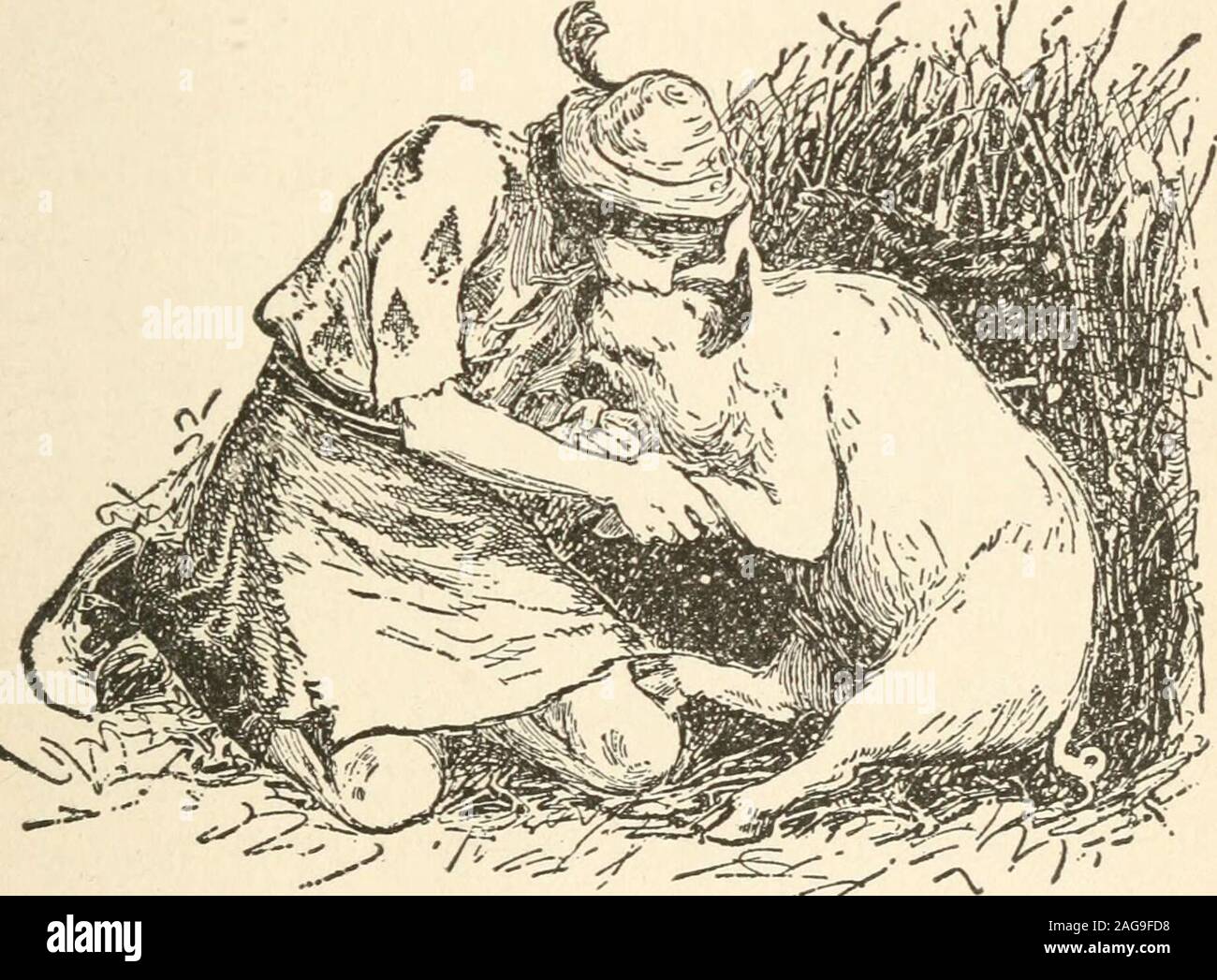 . Schottische Märchen und Märchen. Eine gemeinsame - Schweine gezüchtet, sagte, daß die Brute. Wäre es unhöflich, zu fragen, welche Rasse Sie sind? sagte Duncan. Gar nicht, antwortete das Schwein. Im ein Donner-Schwein, zu Ihren Diensten. Welche Rasse ist das? Sagte Duncan. Wenn Sie wissen wollen, nur Küsse mich einmal zwischenden Augen; es wird eine Menge Erläuterung sparen. ISTow, Duncan war nicht zu küssen swinebetween die Augen, oder irgendwo sonst, für die Materie ofthat gewöhnt, aber er dachte, daß er besser nicht sinken, da seine Störung itwas, dass das Schwein gestört worden war, und onenever weiß, was möglicherweise durch die Zivilgesellschaft zu etwas, Mensch oder Tier bekam, ein Stockfoto