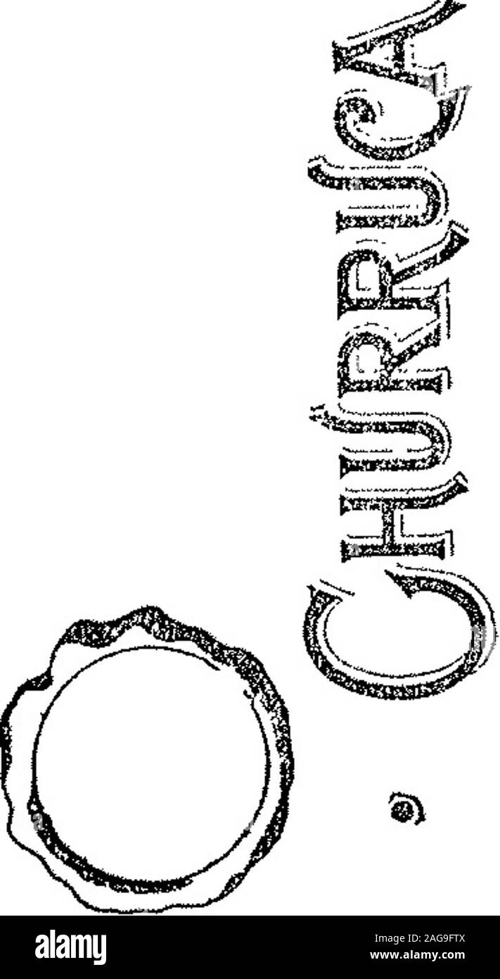 . Boletín Oficial de la República Argentina. 1906 1 ra sección. o o&lt; o ñ s*s?" í¡sUyi 3 23 de Mayo 1906.-Laurent, Fréres. - Artículos de las clases 68 y 69. v-lo-Oct.,." efe Nr. 17. SS 5 Mayo 23 de 1906.-- Kuppers mit MetallwerkeOesellschaft beschrár. Küster ist.-Ar-tículos de las clases 7, 8, 11, 16, 19, 20, 22,31, 32 y 56. v-lo-Oct. Acta, m®!* 9&gt; * 2 t Stockfoto