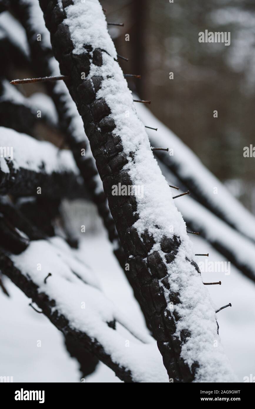 Verkohlte Holzbrett Wand. Hintergrund close-up. Textur. Stockfoto