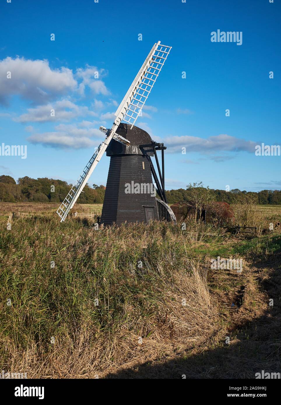 Eine einzelne Entwässerungsmühle oder Windmühle neben einem Fluss, der an einem sonnigen Tag in den Norfolk Broads, England, ein Dunkelgrau mit weißen Segeln gemalt wurde Stockfoto