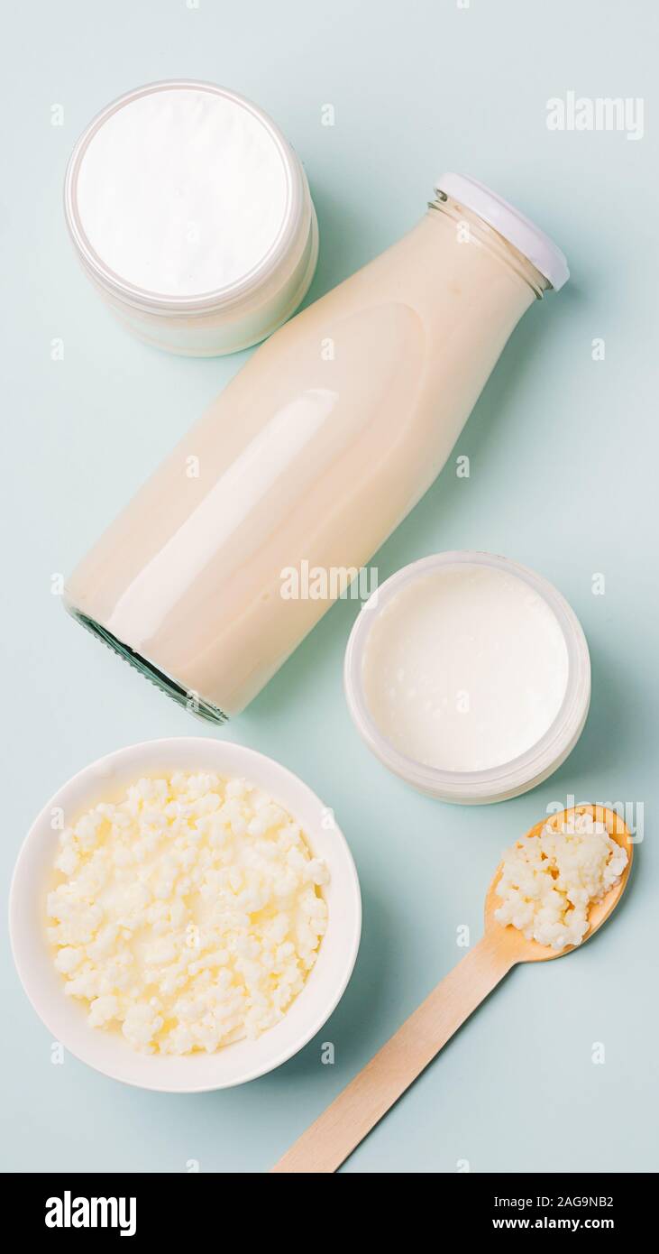 Milch Pilz Bio probiotische Bakterien fermentierte Milcherzeugnisse in einer Glasschale. Fermentierte Lebensmittel gesunde Ernährung Konzept. Platz kopieren. vertikale Rahmen. Ansicht von oben Stockfoto