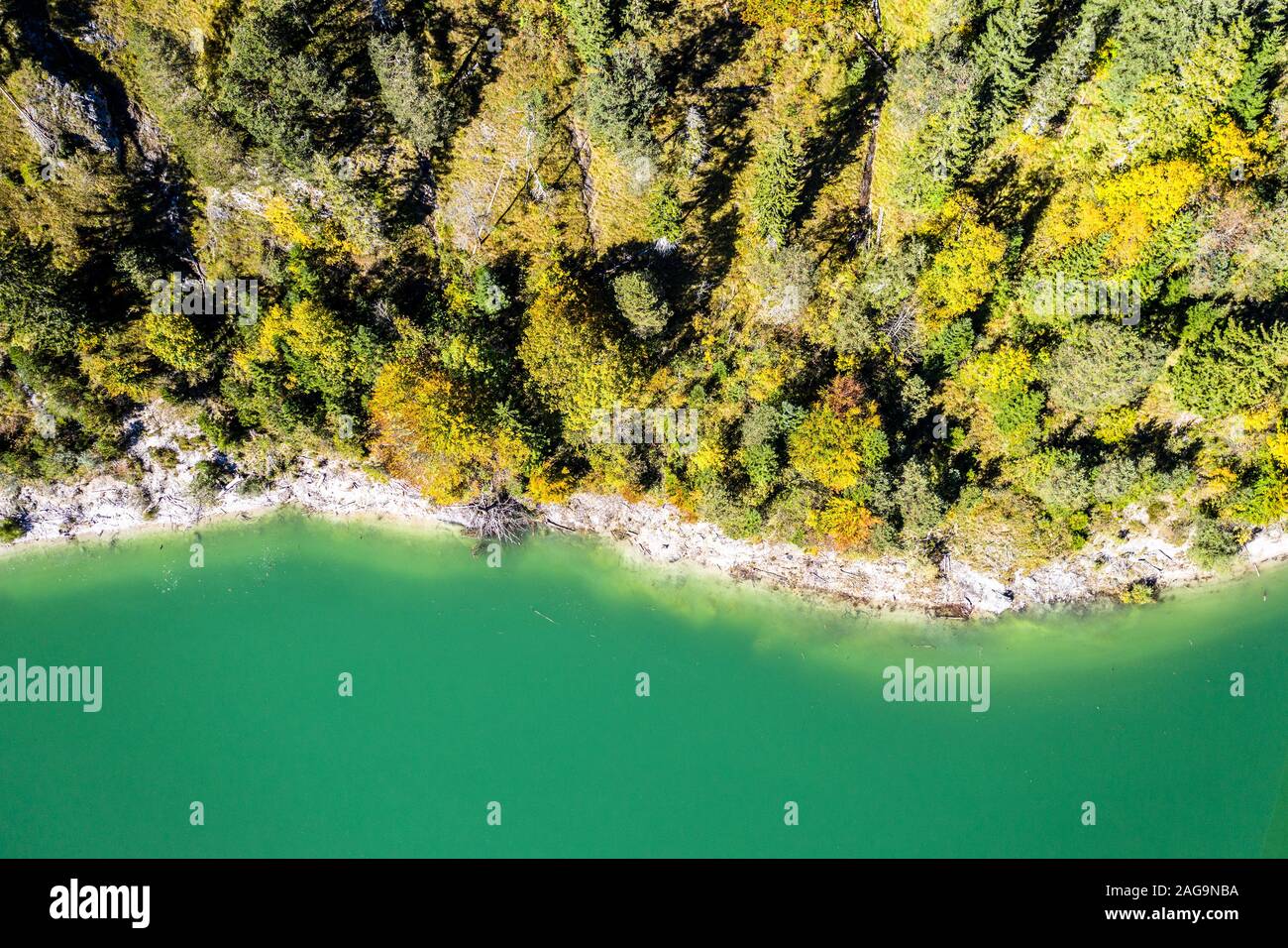 Drone Antenne Herbst Wald am See Sylvenstein. Bäume und Wasser, Top Shot. Bayern, Alpen Stockfoto