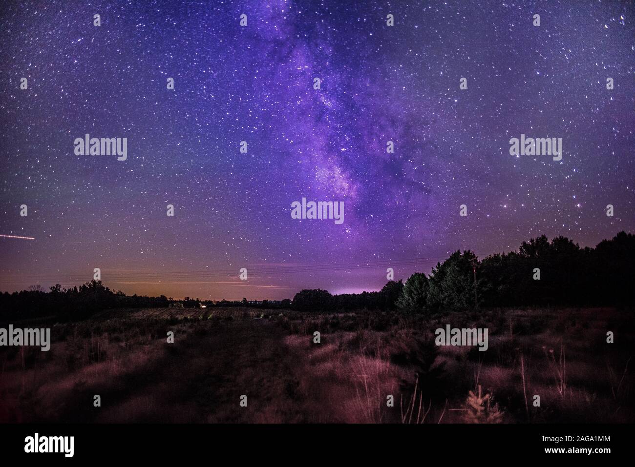 Schöne Aufnahme von einem verlassenen Feld mit Bäumen unter einem Dunkelvioletter Himmel gefüllt mit Sternen Stockfoto