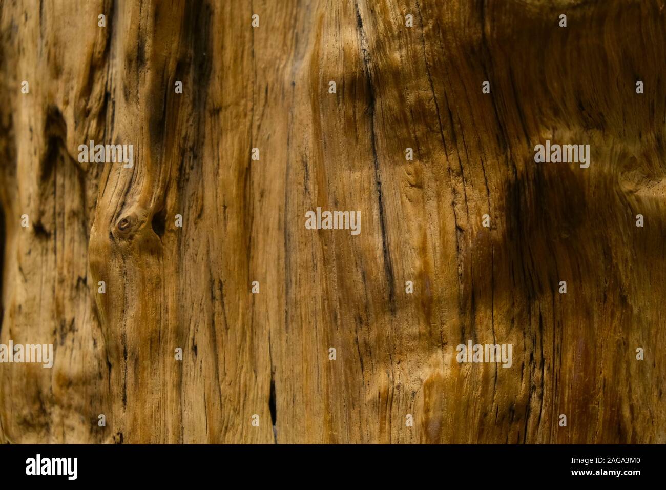 Die Oberfläche der natürlichen unbehandeltes Holz mit Schatten, und Falten in der natürlichen Form. Als Hintergrund oder Textur verwendet werden. Stockfoto