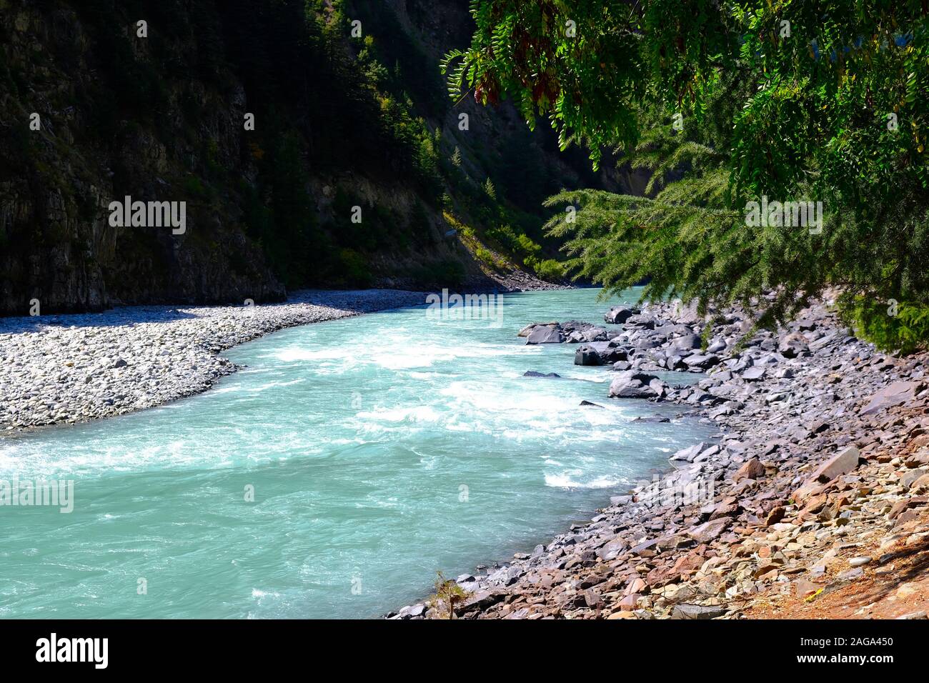 Die blauen Weiten turbulenten Fluss fließt zwischen den Bergen und dem Pinienwald. Die Banken sind aus Steinen, das Wasser glitzert in der Sonne. Stockfoto