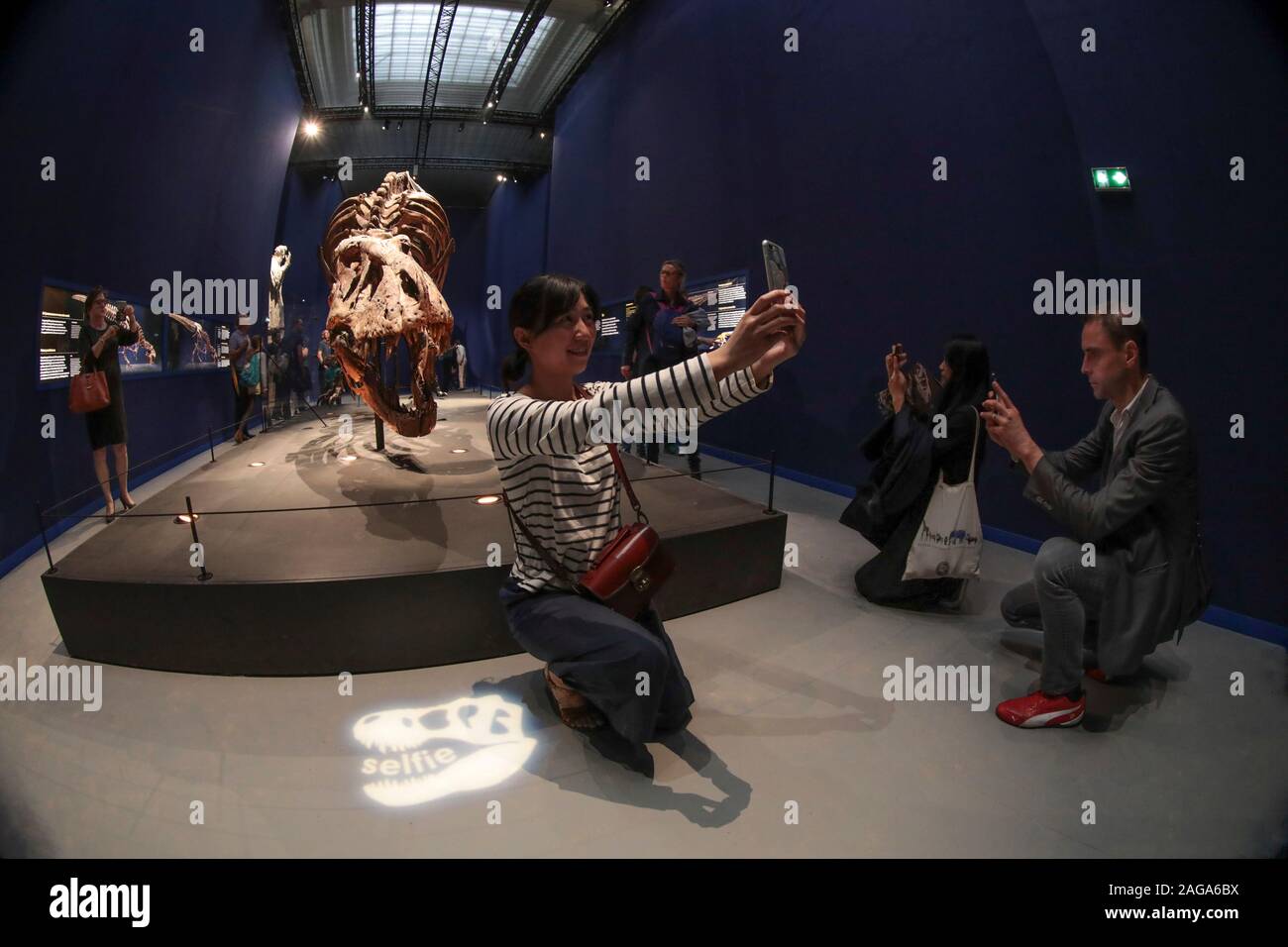 Ein T-REX IN PARIS Stockfoto