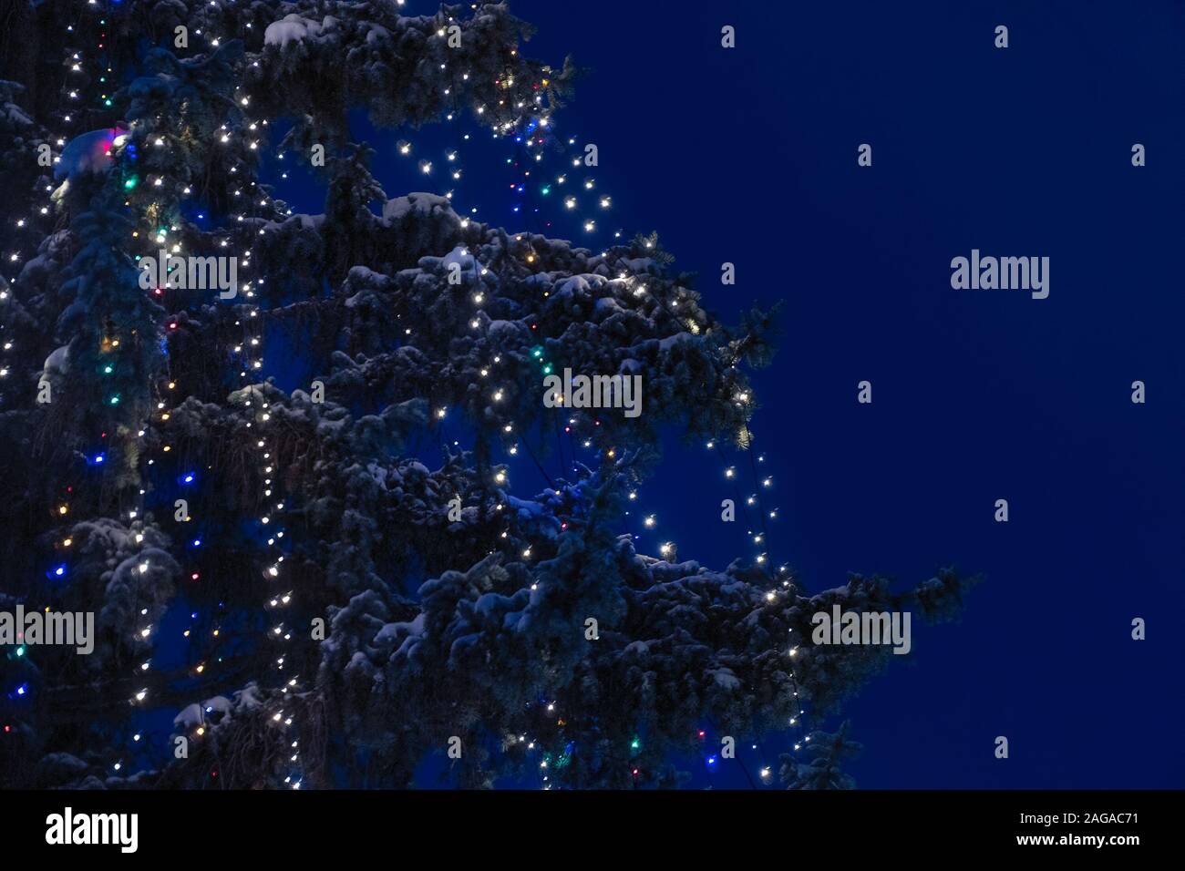 Kranz mit Lichtern auf einem Schnee - Weihnachtsbaum in der Nacht bedeckt, gegen einen dunklen blauen Himmel Stockfoto