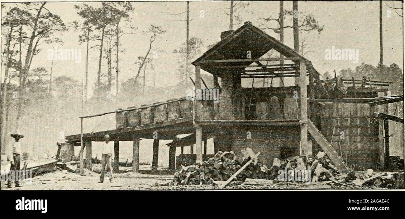 . Die südlichen Staaten. von Alexandriato Monroe, La., gibt ein verydirect Outlet in den Westen fürdie Kiefer von Grant Parish fromnorth zu Südlich der easternarea, der Südosten Winn, EastCatahoula Cladwelland Nordosten, Südosten Rapides Pfarreien. Dieser Eisenbahn eröffnet eine Ex-industrie Bereich der Kiefer und Kraft ist wichtiger Faktor für thedevelopment des Bauholzes in-freizeittiere des Staates. In someparts der Kiefer Riemen die Cutis sehr groß, manchmal als highas 30.000 Fuß pro acre und notuncommonly 10.000. Manchmal viele Morgen kann foundwhere diese letzte Zahl ist ex-mobilisiert. Wenige, wenn überhaupt, der thesepine landet Stockfoto