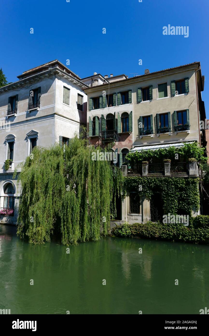 Blick auf die typisch venezianischen Gebäude entlang der Fluss Sile, Riviera Santa Margherita. Weeping Willow Tree. Treviso, Venetien, Italien, Europa. Kopieren Sie Platz. Stockfoto