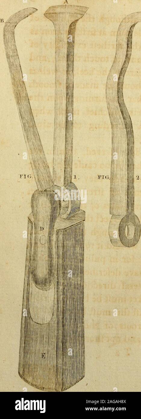 . Ein System der Chirurgie. inear: Fhould immer länger sein als Isiifually gemacht; denn wenn Es Ihorc lefs adswith, viel Power und ist passender, die Zahn, als wenn Sie in einer größeren Länge ist eine Scheibe eingeschlagenwerden. Im Gegenteil dieses Iknow wurde eingeschärft; aber af-ter in Verbindung mit einem fairen Verfahren für beide Methoden, ich bin jetzt überzeugt, dass der Schlüssel • mit langer Ferse viel besser als anderen. Der wichtigste Einwand, der einer Verwendung der ufe eines langen Ferse raifed ist, dass es das Zahnfleisch mehr Schlamm bruife thariVxrhen eine fhort eine Ufed ist. Dies ist jedoch nicht das Cafe, wie bereitwillig allowedby Keine wh. Stockfoto