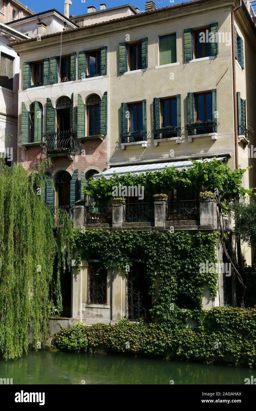 Blick auf typische venezianische Häuser entlang des Flusses Sile, Riviera Santa Margherita. Trauerweide auf dem Wasser. Treviso, Venetien, Italien, Europa EU Stockfoto