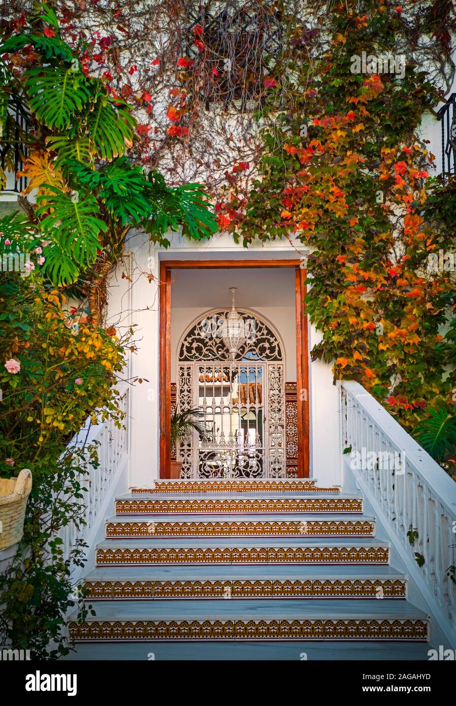 Einen eleganten Eingang zu einem Haus in Nerja, mit Arabischen Kacheln auf dem Schritt Steigleitungen alle von gemischten Kletterpflanzen eingerahmt. Provinz Malaga, Andalusien, Spanien Stockfoto
