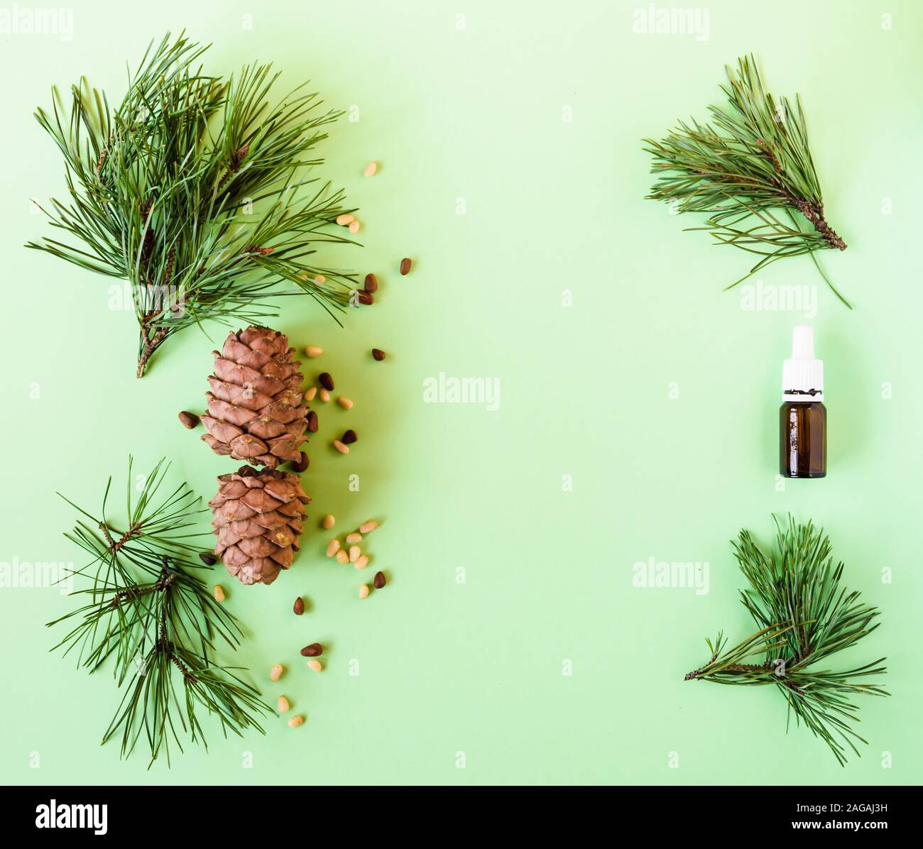 Konzept der Naturkosmetik, Tannenzapfen mit Muttern und eine Flasche Öl auf einem grünen Hintergrund Stockfoto