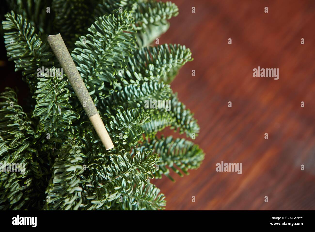 Nahaufnahme eines Marihuana stumpf auf den Zweigen von Ein Weihnachtsbaum Stockfoto