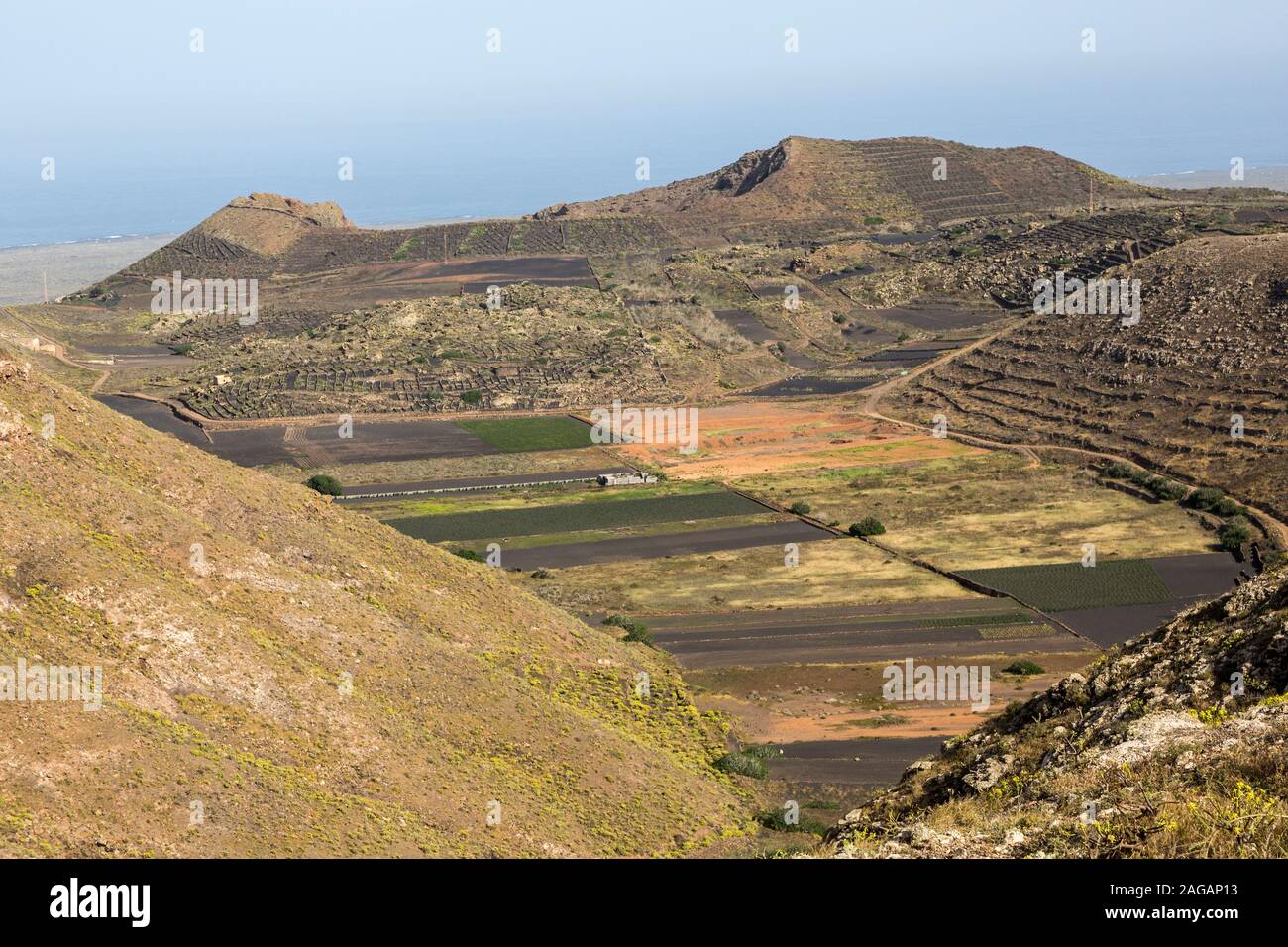Felder im geschützten Bereich, Lanzarote, Kanarische Inseln, Spanien Stockfoto
