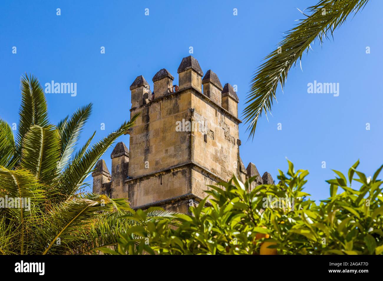 Der Alcázar de los Reyes Cristianos Cordoba in der Region Andalusien in Spanien Stockfoto