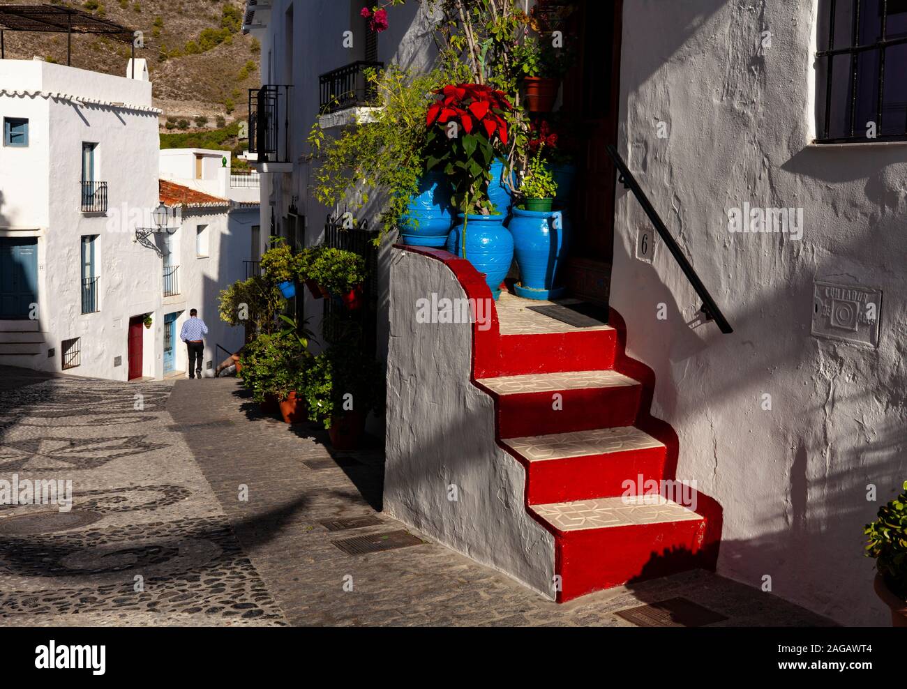 Weihnachtssterne in einem gemusterten Straße mit Kopfsteinpflaster in der Altstadt Das weiße Dorf Frigiliana im typischen Stil Andalucían, Provinz Malaga, Spanien Stockfoto