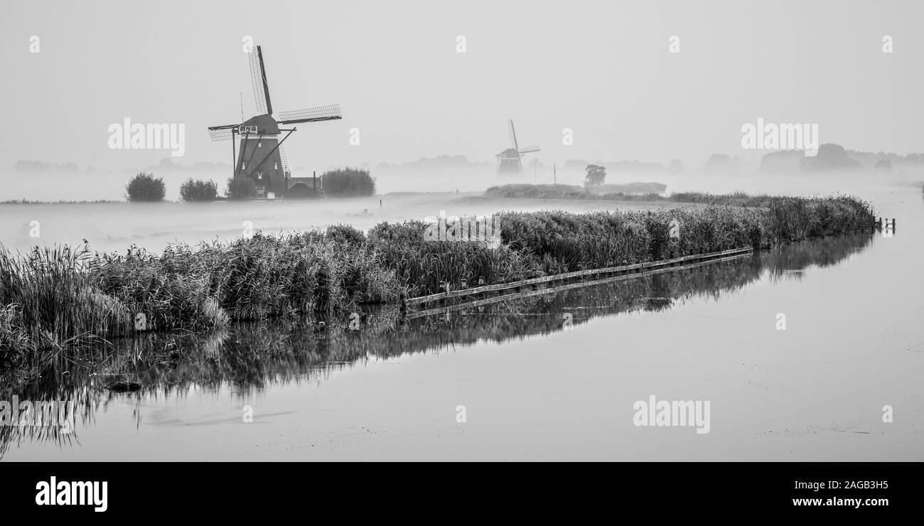 Graustufenaufnahme einer holländischen Polderlandschaft, die sich in der spiegelt Fluss unter dem klaren Himmel Stockfoto