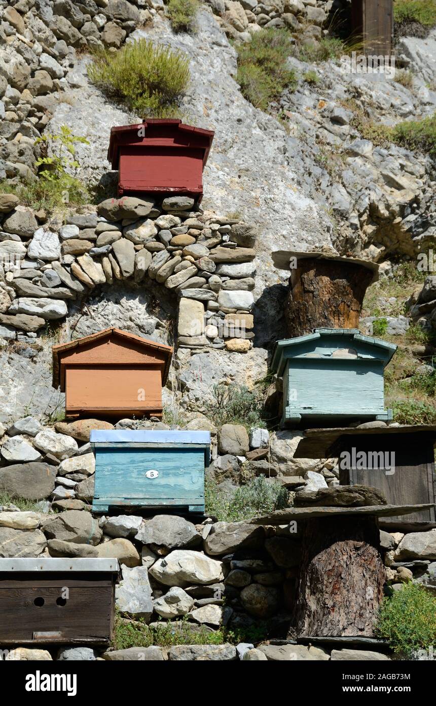 Unterschiedliche Modelle der Bienenstöcke in einem Ummauerten Imkerei oder Bienenhaus von trockenen Steinmauer umgeben von La Brigue in der Roya Valley Alpes-Maritimes Frankreich Stockfoto