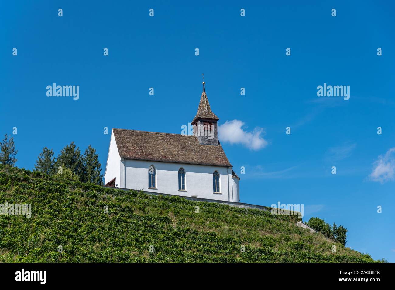 Weinberg mit Saint Nicholas Berg Kirche, Rheinau, Kanton Zürich, Schweiz, Europa Stockfoto