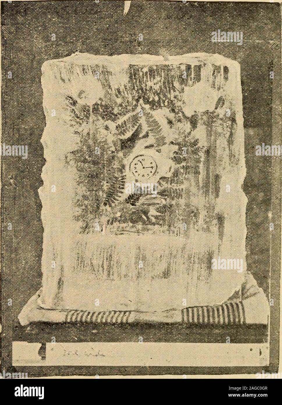. Die Welt Almanach und Enzyklopädie. Auittor der Sie in Ihrem eigenen Hause - in kurzer Zeit - und das bei einer Kleinigkeit von Kosten. Es wird costyou nur über einen Groschen ein Tag - der Preis für eine gute Zigarre. Sachbearbeiter, Buchhalter, Kassierer-us-zu-Tag schreiben Sie uns und lassen Sie sich sagen, wie können wir Ihnen helfen, doppelte yoursalary. Wir alle Text Bücher liefern und die einfachste Art einfach Zahlungen annehmen. Sie verdienen, während Sie lernen und verdoppeln Sie Ihr Einkommen. Wir zeigen Ihnen unser Plan. Warten Sie nicht, bis jemand anderes bekommt, was sie haben sollten. Es kostet nichts toinvestigate. Schreiben Sie-Tag. Erwähnen Weltalmanach und wir schicken Ihnen einen copyof unser Buch Stockfoto