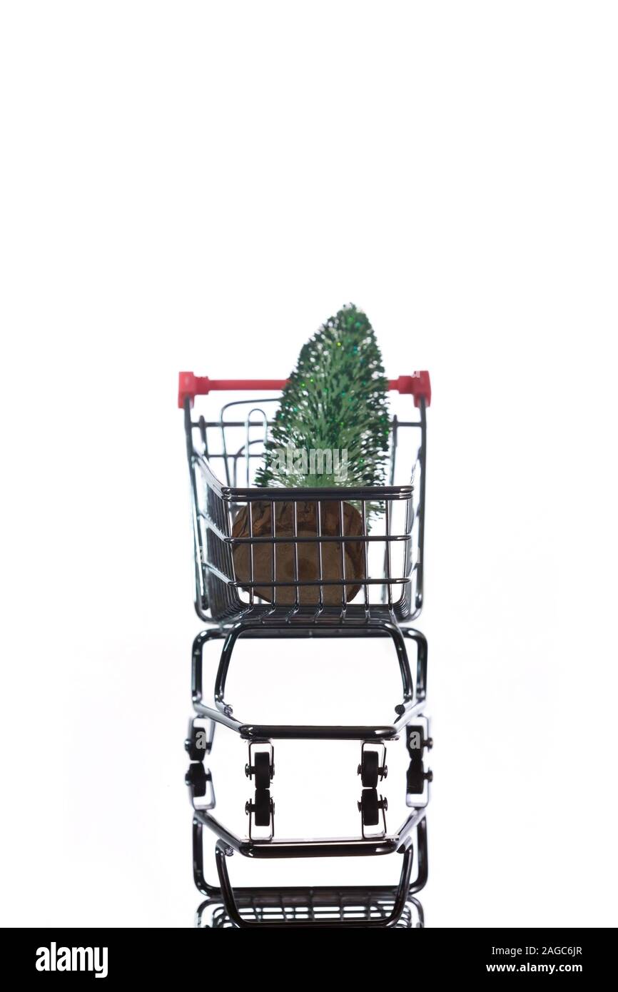 Vorderansicht des Mini Weihnachtsbaum in kleinen Einkaufswagen auf hellen Hintergrund Stockfoto