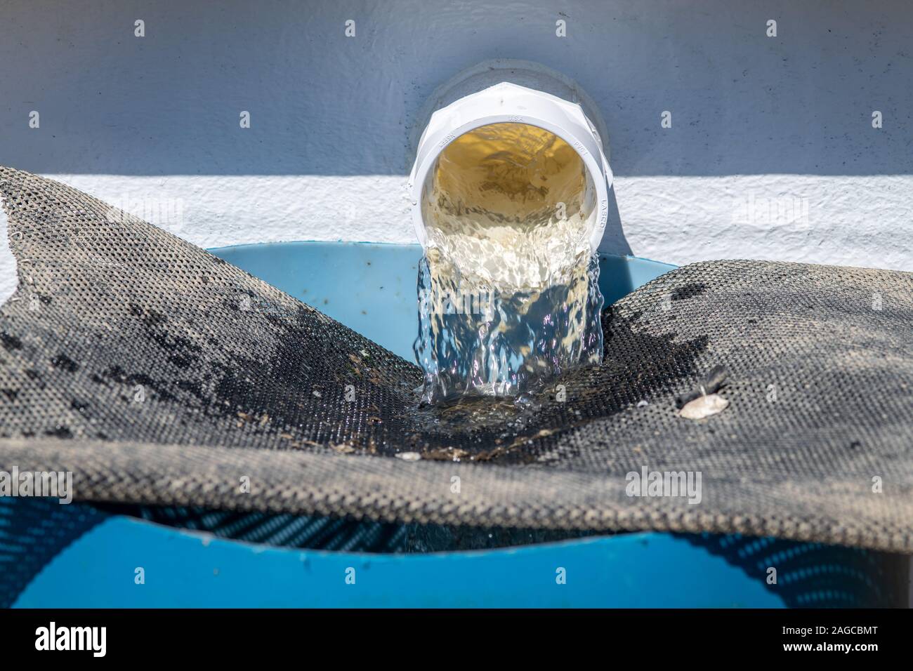 Wasser aus einer austernfarm gefiltert, Chesapeake Beach, Maryland, USA Stockfoto