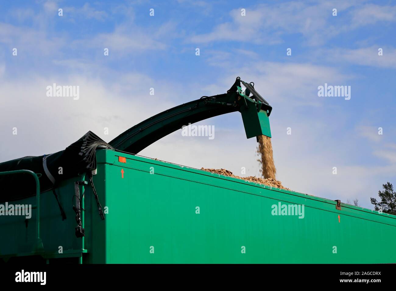 Mobile wood Chipper in Aktion abbricht und laden Rauhfaser auf grün Anhänger. Hintergrund der blauen Himmel und weißen Wolken, kopieren Raum oben auf Bild. Stockfoto