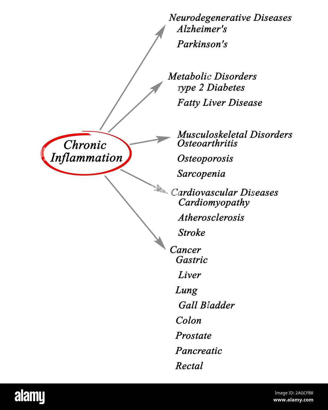 Chronische Neurodegenerative Erkrankung -Fotos Und -Bildmaterial In