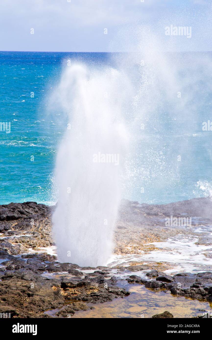 Jubelnde Horn, Ergebnis eines natürlichen Lavatunnel, Kauai, Hawaii. Stockfoto