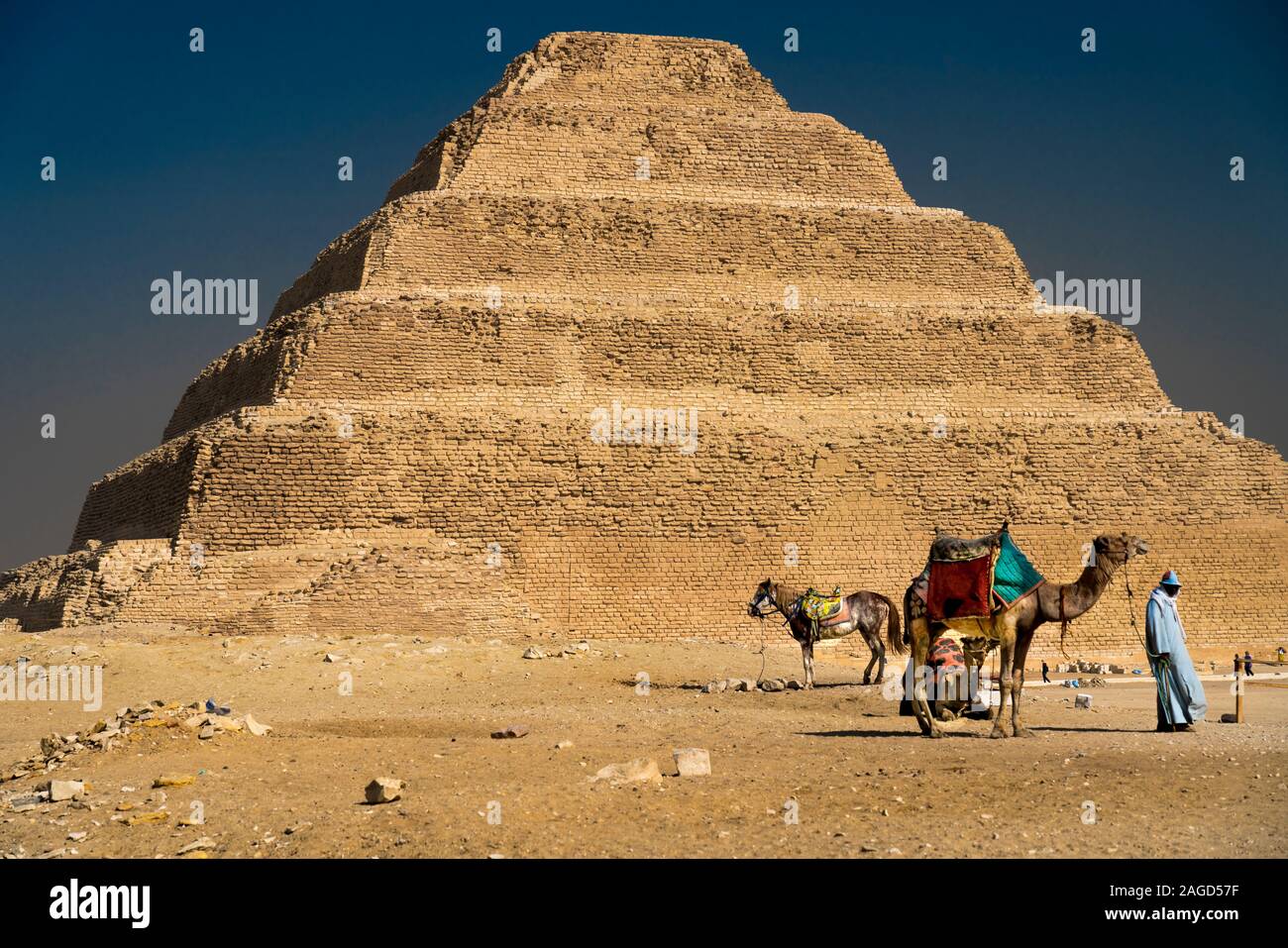 NOVEMBER 12, 2019, Kairo, Ägypten - Sakkara Pyramide als erste Tep Pyramide" Pyramide in Ägypten mit Kamel und moslemischen Mann bekannt Stockfoto