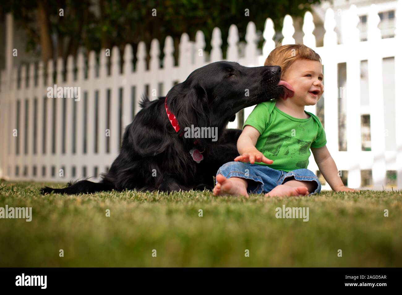 Smiling baby boy im Hinterhof sitzen mit Hund. Stockfoto