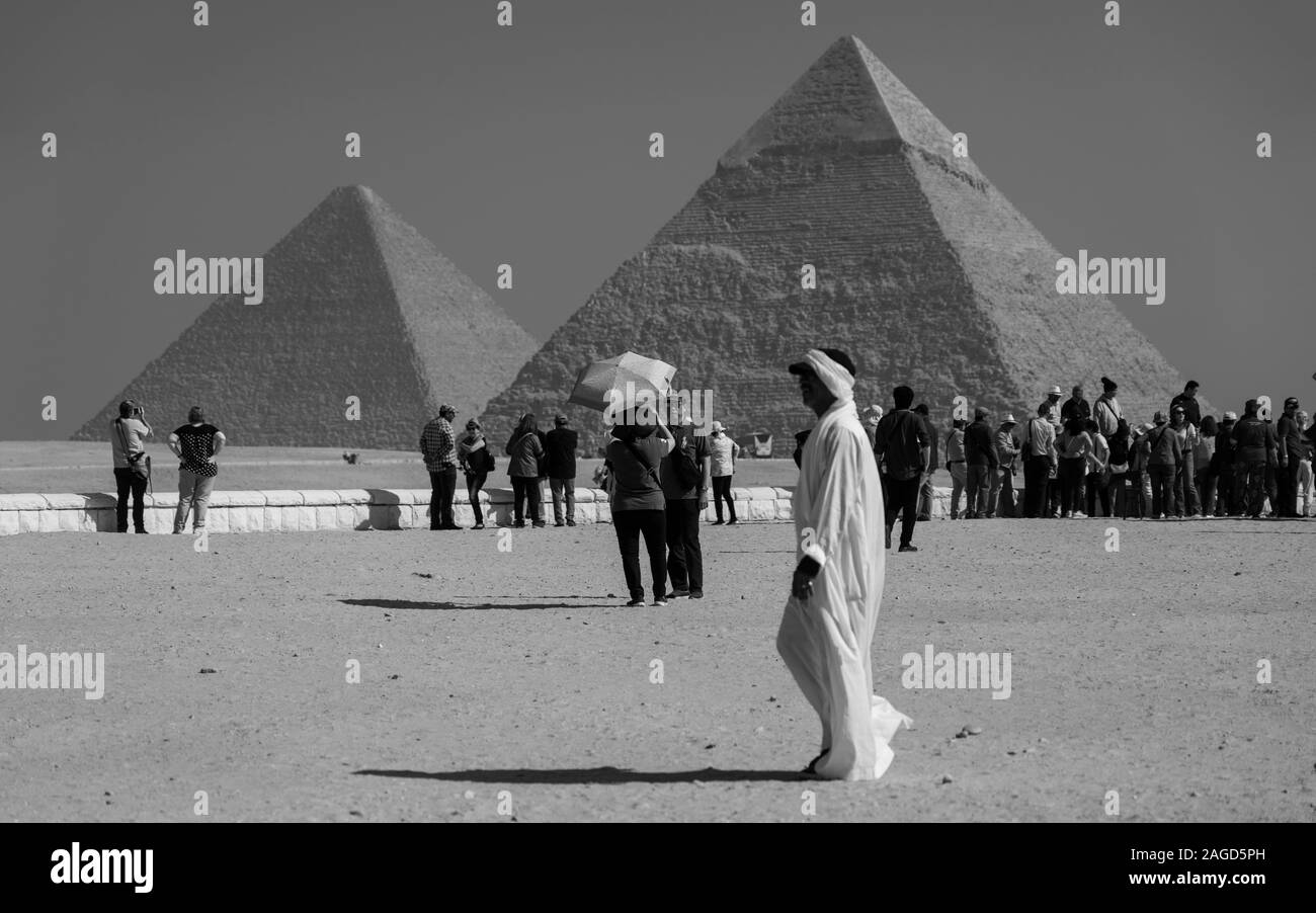 NOVEMBER 2019, Kairo, Ägypten, Kamel vor den Pyramiden von Gizeh, Kairo, mit Touristen und muslimische Menschen Stockfoto