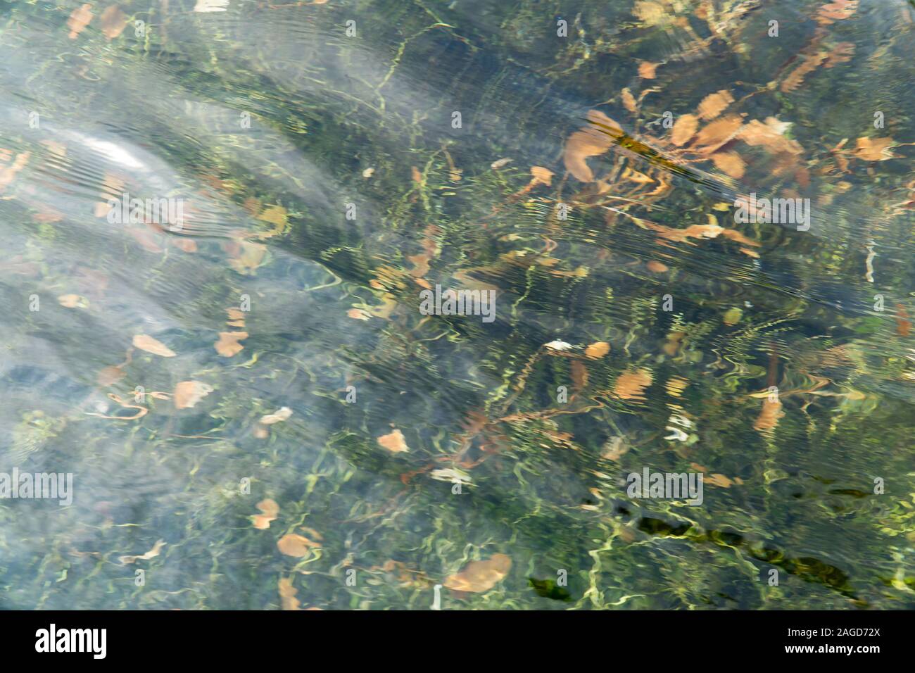 Grün und Braun abstrakt hintergrund Wasser Textur. Natürliche wellige Wasseroberfläche mit braunen und grünen Wasser Pflanzen unter der Oberfläche. Motion blure. Stockfoto