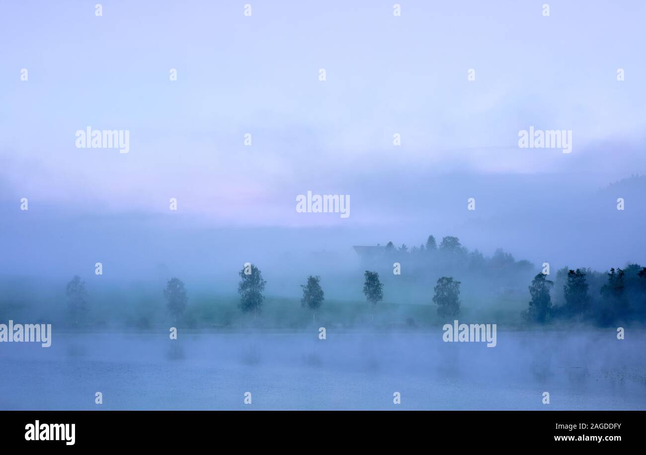 Starker Nebel über dem Meer und Bäume in Höga Kusten (Hohe Küste), Schweden Stockfoto