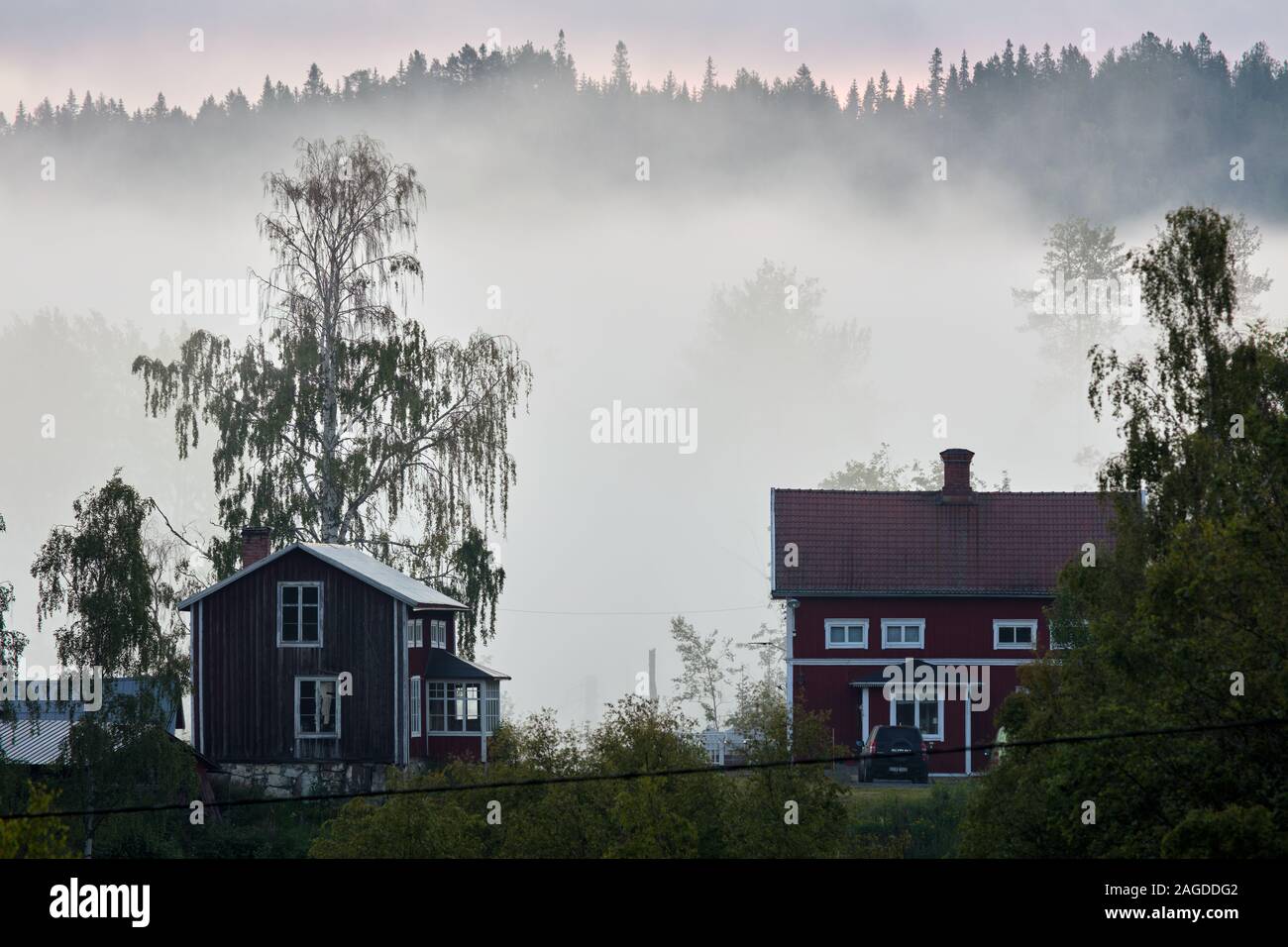 Nebliger Morgen in Höga Kusten (Hohe Küste), Schweden Stockfoto