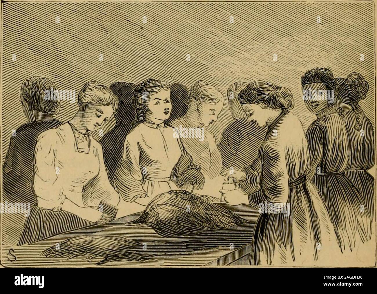 . Die lustige Seite der Physik: oder, Die Geheimnisse der Medizin, präsentiert die humorvolle und ernsthafte Seiten der medizinischen Praxis. Ein Exposé von medizinischen Aufschneider, Quacksalber und Scharlatane in allen Altersgruppen und allen Ländern. Soll ich Ihnen helfen, zu steigen?. Arbeit für Zungen und Fingern. Eine umfangreiche Manufaktur. 653 Sie denken es intelligent und temperamentvoll, Johannes, der ekelerregend Unkraut zu verwenden. Ihr Mund zu machen dann so schmutzig, es waren in der Tat eine Schande. Zu rauchen und Tabak, John, bis ihre Zähne kauen sind braun beschichtet, t einen Schornstein ihrer Nase, und von sich selbst ein Clown, - ja, so motiviert wäre, Johannes, - die Mädchen Stockfoto