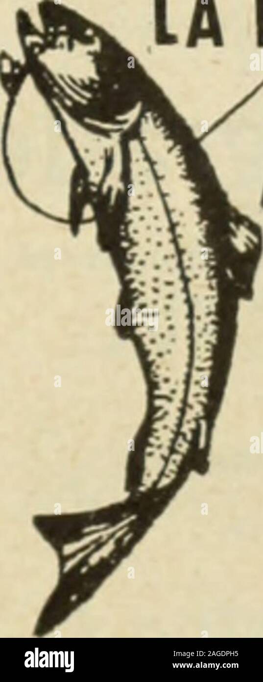 . Le Juillet-Decembre quincaillier (1907). IA N 0 UVELLE V0 IE DU SAGUENAY Da Quebec einen Lac St-Jean etCbicoutimi par le Chfmin aufschieben ou Lac St-Jean et retonra Quebec parles Dämpfe duSaguenay. HOTEL DU LAC ST-JOSEPH LAC BT JOSKPH 50 Minuten seulement deQuebec. Ouverture le 15 juin 1907. Canotage, Peche, Erz-ve 9 magniflque pour le Bains, terrain de Golf, Liegewiese, Tischtennis etc. Orchestre ausgezeichnet, Bon service de Züge. Eine Sadresser JULIAN B. PRIESTER, Q4 rant. au Chemin de Fer du Lac St-Je #n, Quebec.. Un-magnitique Guide illustre gratis Sur de-manded ALEX. HARDY, Agent allgemeine deaPassagers, Quebec. Si un Stockfoto