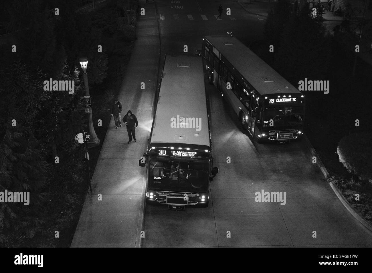 PORTLAND, Vereinigte Staaten - 23.November 2019: einem hohen Winkel Graustufen Schuß von zwei Busse auf den Straßen von Portland in der Nacht erfasst Stockfoto